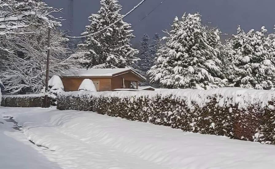 Chalet Du Spiemont Champdray Exteriér fotografie