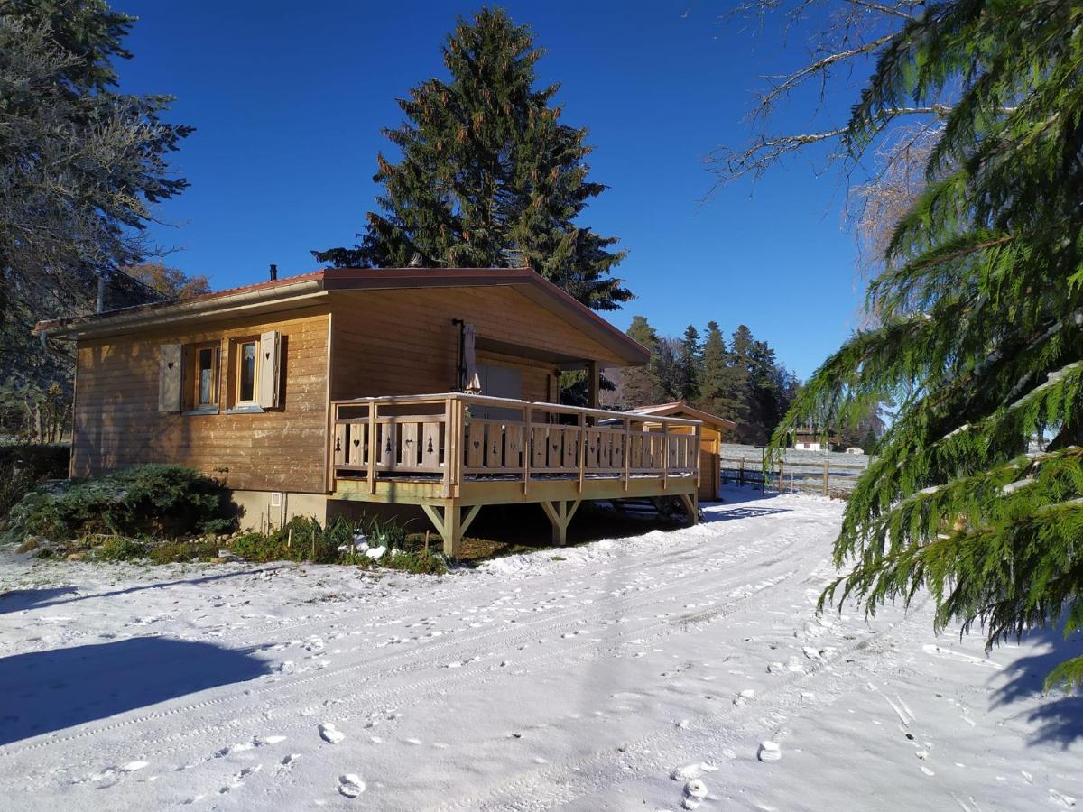Chalet Du Spiemont Champdray Exteriér fotografie
